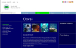 layout 2